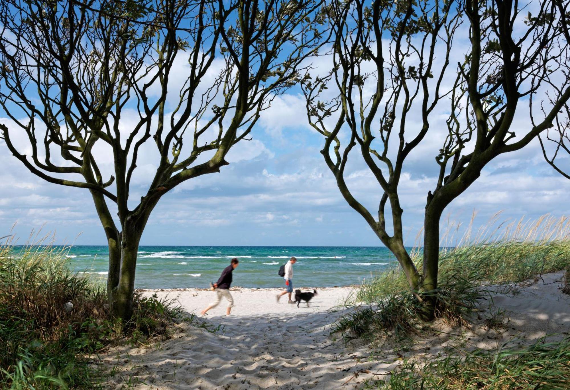 Apartamento Insel-Idyll Sonnenschein Poel Exterior foto